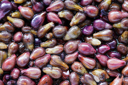 Grapeseed oil